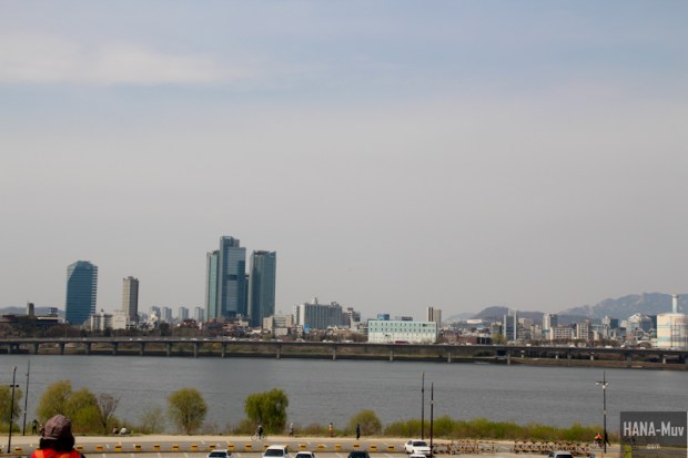 Yeouido Park Cherry Blossom - HANA-Muv.com Photo-4